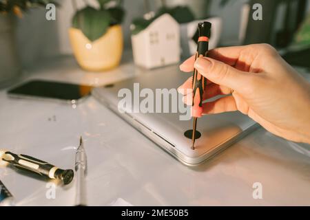 Hand einer Frau mit Schraubenzieher am Laptop am Tisch Stockfoto