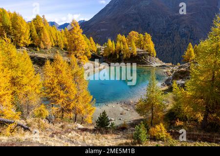 Blauer Alpensee im Herbst Stockfoto