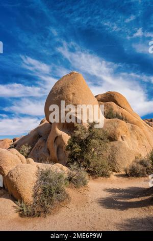 Skull Rock, eine berühmte Felsformation im Joshua Tree National Park, Kalifornien, USA Stockfoto