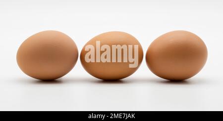 Huevos de gallina aislados sobre fondo Blanco Stockfoto