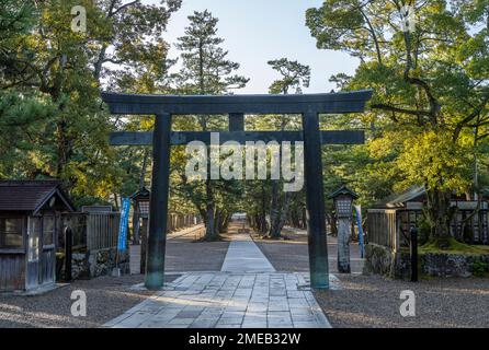 Ein Torii-Tor in Izumotaisha, ein wichtiger Shinto-Schrein in Izumo, Präfektur Shimane, Japan. Stockfoto