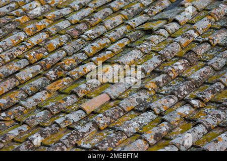 Nahaufnahme alter traditioneller Terrakotta-Dachziegel in der Toskana, Italien. Stockfoto