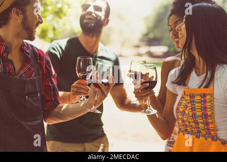 Eine multiethnische Gruppe junger Erwachsener erhebt ihre Gläser Rotwein zur Feier, während sie einen Sommertag auf dem Land genießen, sich anfreunden und lachen Stockfoto
