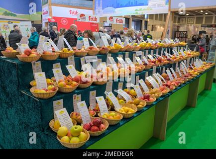 Vielfalt, Äpfel, Messe, Internationale Grüne Woche, Messegelände, Charlottenburg, Berlin, Deutschland Stockfoto