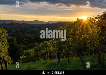 Sonnenuntergang auf den Weinhöfen in Südsteiermark Stockfoto