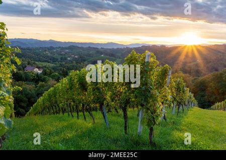 Sonnenuntergang in den südlichen Steirischen Weinbergen Stockfoto