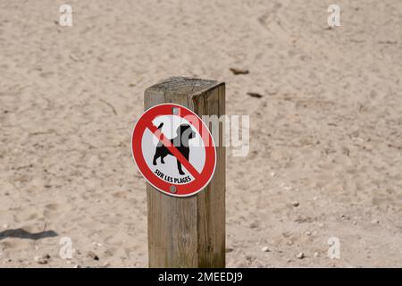 Verbotsschilder verbotener Hund am Strand französischer Text sur les Plages Schild am Zugang zur Sandküste Stockfoto