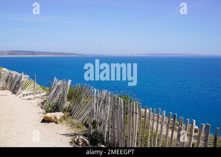 Der Holzzaun der Leukate-Küste an der mittelmeerküste am Südseestrand Pyrenees Orientales in Languedoc-Roussillon Frankreich Stockfoto