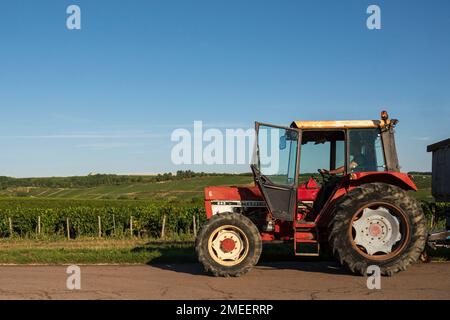 AOC Vineyards von Chablis im Spätsommer, Burgund, Frankreich Stockfoto