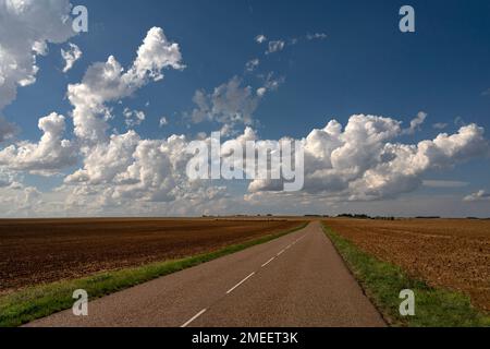 AOC Vineyards von Chablis im Spätsommer, Burgund, Frankreich Stockfoto