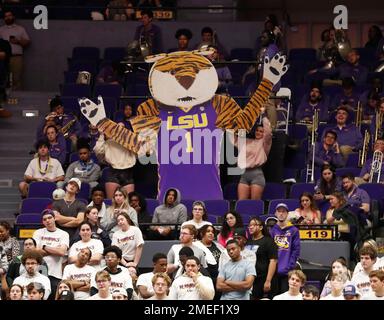 Baton Rouge, USA. 18. Januar 2023. LSU-Fans feuern ihr Team bei einem College-Basketballspiel im Pete Maravich Assembly Center in Baton Rouge, Louisiana, am Mittwoch, den 18. Januar 2022 an. (Foto: Peter G. Forest/Sipa USA) Kredit: SIPA USA/Alamy Live News Stockfoto