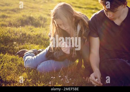 Bruder und Schwester, Geschwister, Junge und Mädchen, Kinder bei Sonnenuntergang, auf dem Rasen, Gras, Blumen und Natur beobachten. Wir teilen einen schönen Moment mit der Familie Stockfoto