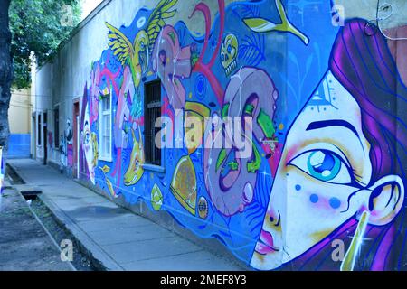 Street Art Graffiti in Valparaiso Chile farbenfroh Stockfoto