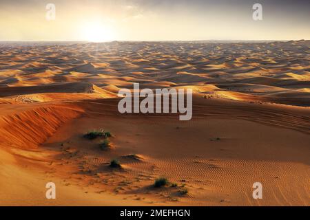 Goldene Sanddünen Wüstenlandschaft. Wunderschöner Sonnenuntergang über den Dünen in der Al Madam Desert, Vereinigte Arabische Emirate. Safari Stockfoto