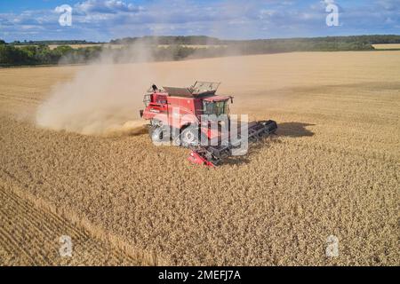 Mähdrescher in Lincolnshire Wolds, Großbritannien Stockfoto