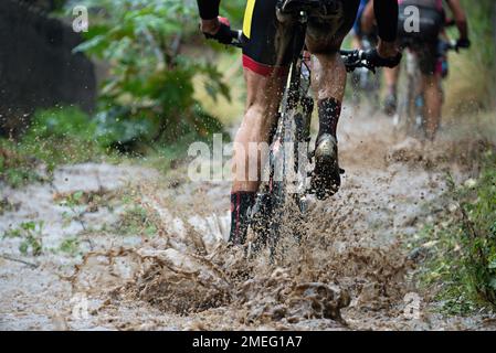 Mountainbiker fahren bei Regen flussaufwärts Stockfoto