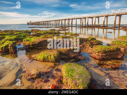 Australien, Victoria, Bellarine Peninsula, Port Philip Bay, Point Lonsdale Pier und felsiger Strand Stockfoto