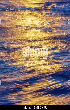 Warme Highlights beleuchten das ruhige Wasser und erzeugen goldene Reflexe Stockfoto