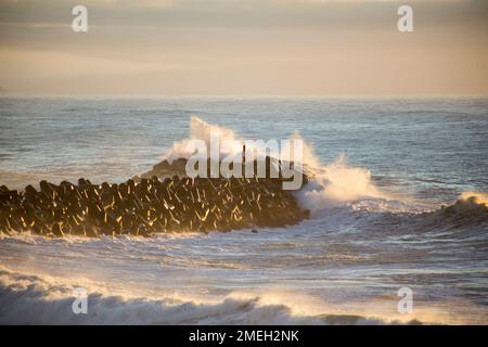 Ondas fortes arrebetam no quebra-mar do Pontão da Ericeira [starke Wellen brechen am Wellenbrecher von Pontão da Ericeira] Ericeira - Mafra Portugal Stockfoto