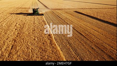 John Deere Erntemaschine arbeitet auf dem Feld. Mähdrescher Für Die Weizenernte. Getreidefeld während der Ernte. Moderne Ausrüstung funktioniert. 07.07.22, Rostow Stockfoto