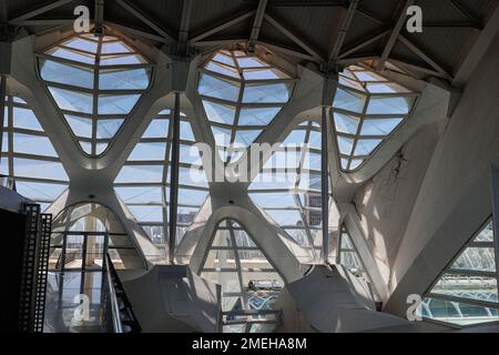 Blick aus dem Inneren des Gebäudes „Moderne Architektur der Künste und Wissenschaften“ in Valencia, Spanien. Stockfoto