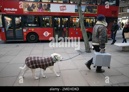 Der Hund trägt einen Wintermantel, während er von seinem Besitzer geführt wird, der eine Aktentasche aus Metall in der Oxford Street im Zentrum Londons trägt Stockfoto