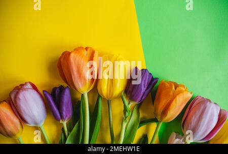 Wunderschöne Tulpen mit bunten Hintergründen. Die Aussicht von oben. Stockfoto