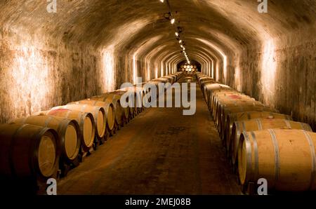 Golf- und Weinschloss Castello Di Spessa, das auch ein Hotel und Restaurant hat, der Weinkeller weit unter der Erde in einem alten Bunker aus dem zweiten W Stockfoto