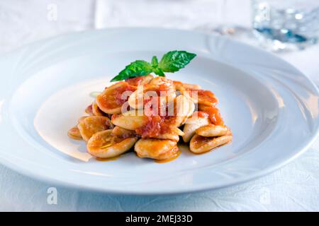 Pasta, „Orecchiette und Tomatensoße“ Stockfoto