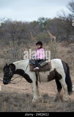 Ein junges Mädchen (Modell freigegeben) reitet mit einem Paar Giraffen im Hintergrund, Ant's Hill Reserve, in der Nähe von Vaalwater, Provinz Limpopo, Südafrika Stockfoto