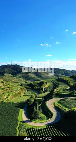 Blick Auf Texaspass Im Kaiserstuhl Aus Der Vogelperspektive Mit Blick Auf Die Weinberge. Oberbergen, Breisgau, Schwarzwald, Freiburg, Baden-Württemberg, Deutschland. Stockfoto