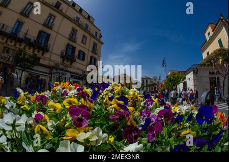 April 20 2022 - Sorrent Italien - Foto mit bunten Blumen im Vordergrund und einem Platz voller Menschen in der Ferne Stockfoto