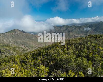 Blick vom Baracan-Berg. Grüner Wald, Hügel und Tal mit terrassenförmig angelegten Feldern und Dorf Las Portelas im Park rural de Teno, Teneriffa, Kanarienvogel Stockfoto