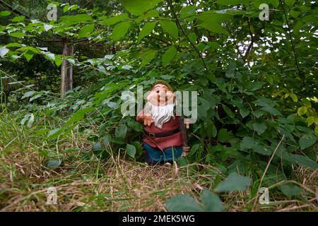 Lustiger Gartenzwerg in einem grünen Garten. Stockfoto