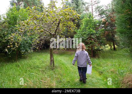 Kleinkind auf Schnitzeljagd in der Natur. Stockfoto