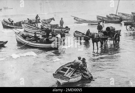 Scarborough, North Yorkshire, Großbritannien. Pferdekarren, die Fässer von Hering aus Fischerbooten, Vereinigtes Königreich, sammeln. Ein Amateurfoto, aufgenommen um 1900 Stockfoto
