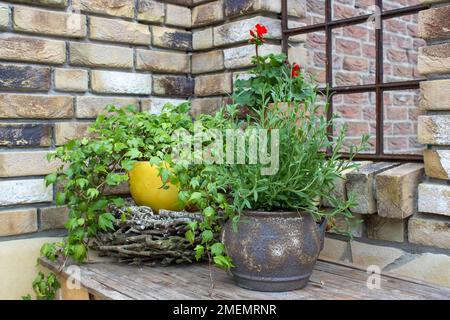 Schöner Platz im Garten im mediterranen Stil, Töpfe mit Pflanzen auf dem Tisch Stockfoto