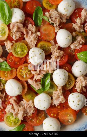 Makroportionen von Tomatensalat mit Thunfisch, Mozzarella-Kirschen und Basilikumblättern. Flach verlegt Stockfoto