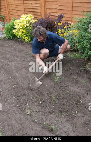 Ein Mann, der im Garten hockt und einen Raum nutzt, um den Boden für die Rasenlegung flach zu legen Stockfoto