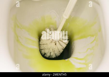 Dieses Foto ist eine frische Version der nicht so glamourösen Aufgabe der Toilettenreinigung und zeigt die Präzision und Effizienz einer Toilettenbürste Stockfoto