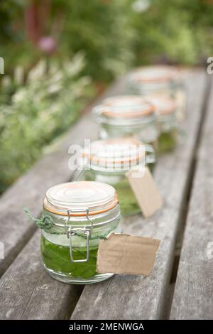 In einer Reihe luftdichter Gläser auf dem Gartentisch, Nahaufnahme Stockfoto