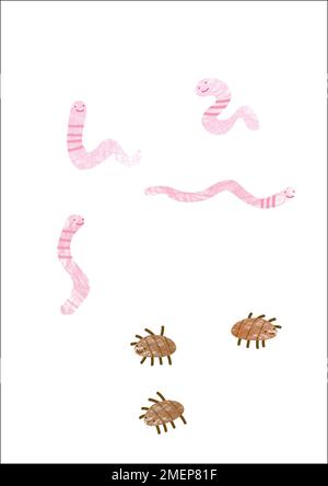 Illustrierte Würmer und Holzläuse Stockfoto