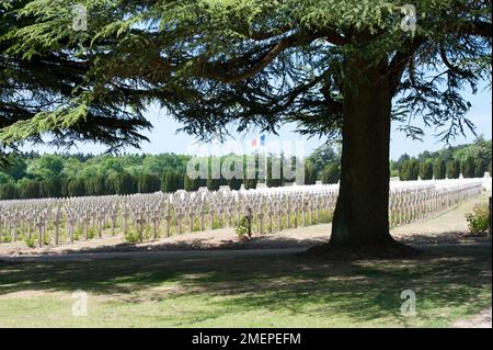 Frankreich, Lothringen, Maas, Verdun, Douaumont-Ossarium (L'ossuaire de Douaumont), Kreuzreihen auf dem Kriegsfriedhof Stockfoto