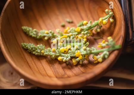 Gelbe frische Blumen Verbascum nigrum, schwarzes Mullein, dunkles Mullein, auf einem hölzernen Öko-Schild auf dem Tisch Stockfoto