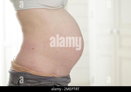 Schwangerer Bauch, Seitenansicht Stockfoto
