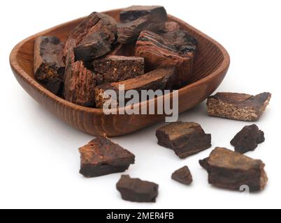 Essbares schwarzes Katechu aus Akazienbäumen Stockfoto