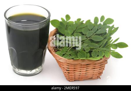 Moringa Blätter mit Extrakt in einem Glas auf weißem Hintergrund Stockfoto