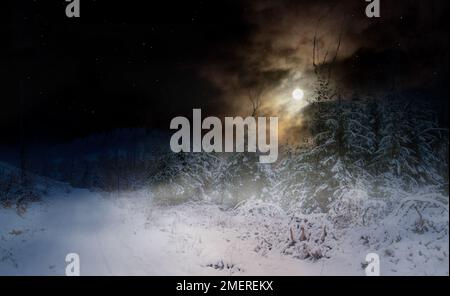 Verschneiter Waldweg in dunkler Winternacht mit Mondschein U Sternen Stockfoto