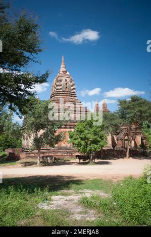 Myanmar, Westbirma, Bagan, Gubyauk Gyi-Tempel Stockfoto