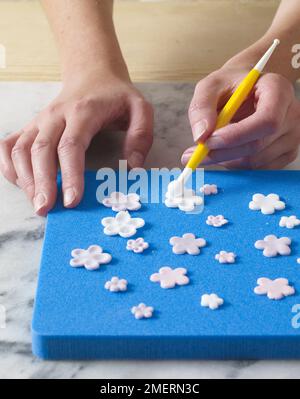 Blumen werden aus Gärung hergestellt und mit einem Kuchendekorationswerkzeug modelliert Stockfoto